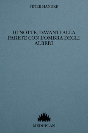 Di notte, davanti alla parete con l'ombra degli alberi