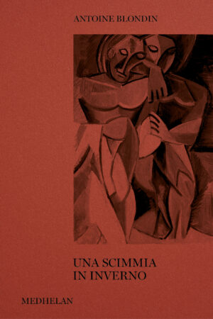 Una scimmia in inverno