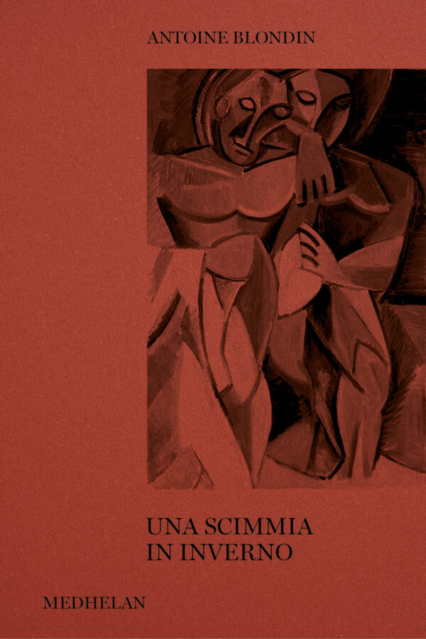 Una scimmia in inverno